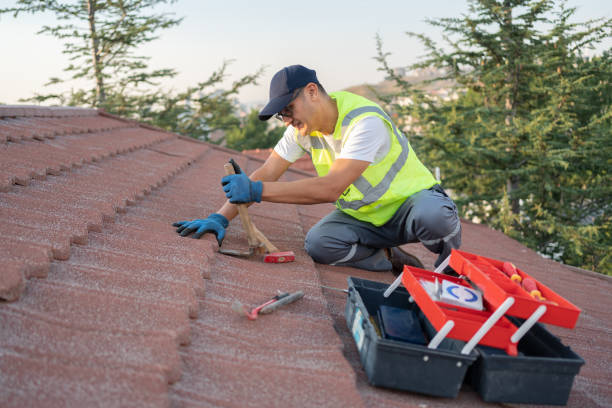 Best Roof Gutter Cleaning  in Russell, GA